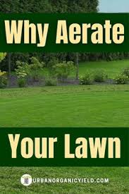 From weed control to insect control and everything in between. Tee Time Lawn Care Teetimelawncareinc Profile Pinterest