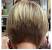 Neck Length Bob Haircut Rear View