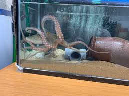 生体情報システム研究室 - 山口大学