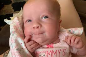 Fundraiser for Harley Stone by David Stone : Addiston Stone's Family  Medical Fund