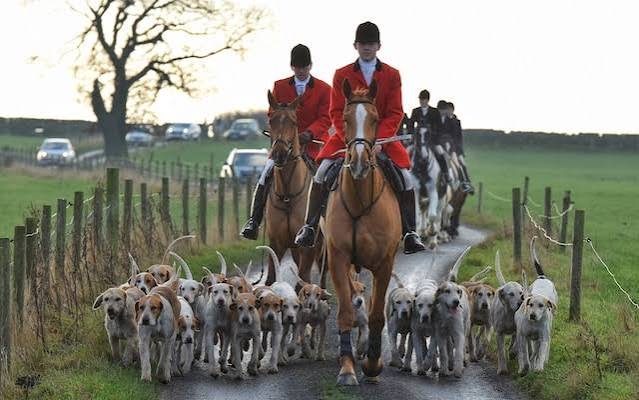 As an American, I adore foxhunting – no matter what British class warriors think