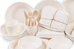 Bagasse Plates: Pros and Cons Explained