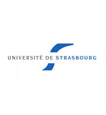 The university of strasbourg dates back to the 16 th century, but the institution in its current form was founded in 2009, following the merger of louis pasteur, marc bloch and robert schuman universities. University Of Strasbourg Universite De Strasbourg Tethys