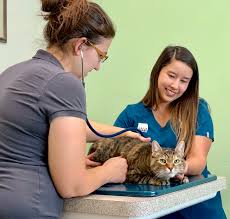 1007 lake lowell ave (278.88 mi) Our Clinic Idaho Veterinary Hospital
