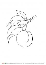 Another theme for beautiful coloring pages preschool children : Free Printable Coloring Pages Moona Fruits And Berries