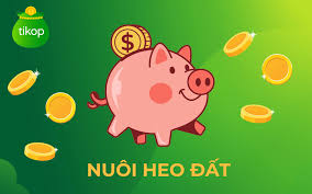 Cách nuôi heo đất tiết kiệm tiền hiệu quả, việc nhỏ, ý nghĩa lớn - Tikop.vn