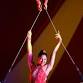 The Venardos Circus