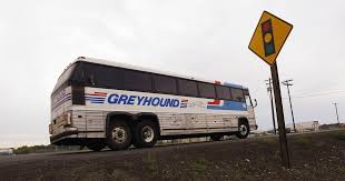 Outcry After Florida Border Patrol Conducts Checks Detains Woman On Greyhound Bus Travel Quotes Inspirational Best Travel Quotes Travel Quotes