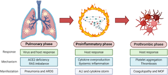 Covid19cz je společná aktivita několika českých technologických firem a it nadšenců zaměřená na pomoc. Overview Of Covid 19 Inflammatory Pathogenesis From The Therapeutic Perspective Springerlink