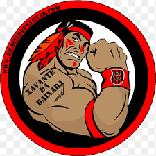 Статистика футбольного матча по xg для любого чемпионата. Guarani Png Images Pngegg