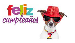 See more of felicidades papa on facebook. Https Xn Imagenesdecumpleaosfeliz Hlc Com Imagenes De Perros Felicitando Tu Cumpleanos