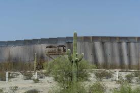San pedro cactus grows tall and mighty and can serve as an impressive and towering ornament in any garden or green house. Where Border Wall Construction Stands Near The End Of Trump Era