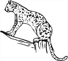Gepard Ausmalbilder Malvorlagen 100 Kostenlos
