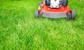 Cleaner cuts promote better grass health. Lawn Care Tips Strathcona County