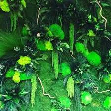 Action Deco Peinture St Malo Creation Design Hoa Deco Deco Peinture Deco Action Mur Vegetal