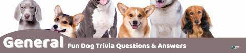 Whether you have a science buff or a harry potter fanatic, look no further than this list of trivia questions and answers for kids of all ages that will be fun for little minds to ponder. 71 Fun Dog Trivia Questions And Answers Group Games 101