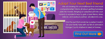 8 days ago in westminster, ca not since the beatles has there been more excitement over the english coming to america. Oc Shelter Pets Non Profit Group Helping Pets In Orange County Shelters