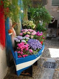 Floral Boat In Isola Bella Lago Maggiore Italy By Valter49 Province Verbano Cusio Ossola Piemonte Region Ita Plants Beautiful Gardens Container Gardening