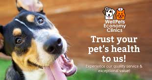 The calvert well pet clinic was founded to aid the people of calvert county and. Home Well Pets Indianapolis