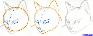 Pin By Chris Houde On I Love Art Cat Drawing Tutorial Cat Face Drawing Simple Cat Drawing