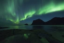 Image result for Verde Night 1982 Fleet