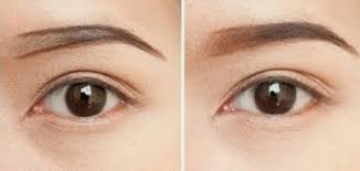 Ayla 4d Eyebrow Aleena Nasa Alis Bervolume Dan Natural Stockist Nasa Aa 1465