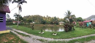 Tempat menarik di kundasang yang agak popular! Inap Desa Chalets Janda Baik Bentong Pahang