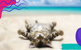 This page contains a national calendar of all 2021 public holidays for malaysia. 2021 Public Holidays Entitlement Hr Guide In Malaysia Justlogin