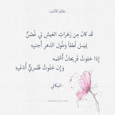 قد كان من زهرات العيش لي غصن الميكالي عالم الأدب Arabic Poetry Arabic Quotes Arabic Words