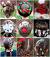 Step By Step Christmas Updos