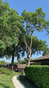 Maybe you would like to learn more about one of these? Jw Tree Service Home Facebook
