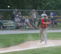 Lions 'ROAARR' to Connie Mack state title