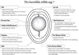 Welcome To The American Egg Board Educator Overview Education School Mom Farm Unit