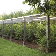 Over 1000 coupons from more then 500 merchants. Martha S Berry Garden Martha Stewart