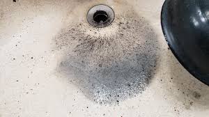 bathroom sink wont drain. there are