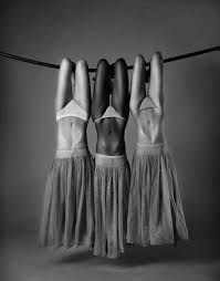 Kliping hewan yang hidup di darat, air dan udara. 21 Foto Keren Ini Bisa Menipu Mata Kamu Jika Tidak Teliti Loh Hot Magazine