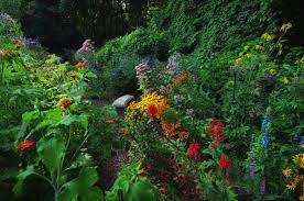 Buddleia is easy to grow but some varieties can get large (although growers have been breeding patio sized. John S Butterfly Garden In Michigan Finegardening