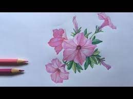 Pin On Painting And Drawing Flowers