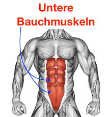 Nur so bringen sie ihre bauchmuskeln dazu, sich wirklich anzustrengen. Untere Bauchmuskeln Trainieren 10 Ubungen Bilder Videos