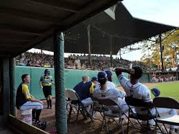 A Brief History of Savannah Bananas Coach Tyler Gillum