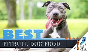 15 Best Dog Foods For American Pitbull Terriers Our 2019