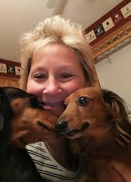 Crusoe the Celebrity Dachshund