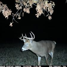 In this video we are breaking down everything you need to know about how game cameras that send pictures to your phone work. Deer Cams Showing Up On Hunting Trails Mpr News