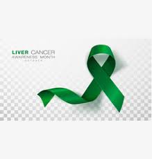 The jade ribon represents liver cancer. Liver Cancer Awareness Ribbon Vector Images Over 280
