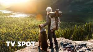 Az élő felvételeket animációval ötvöző a vadon hívó szava a legújabb trükktechnológiát hasznosítva varázsolja állati szereplőit is fotorealisztikus, érző lényekké. A Vadon Hivo Szava Tv Spot 2 Youtube