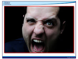 Communication and Social Styles Presenter: Mary Kay Williams ppt download