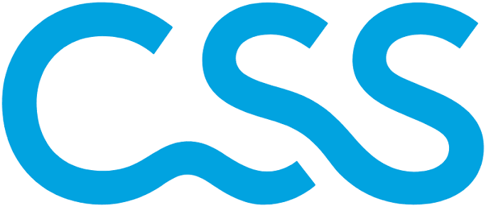 CSS Assurance