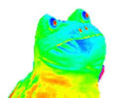 Gif Rainbow Frog Frog Meme Rainbow Gif Frog