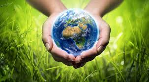 Una delle tante proposte è la lettura di libri sull'ambiente per trasmettere loro. Giornata Mondiale Della Terra Scuola Santa Sofia Lendinarascuola Santa Sofia Lendinara