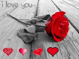 Date of the last update: Awesome Gif Image Kiss Love Flowers Gif